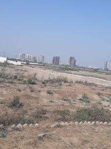 Gallery Cover Image of Sq.ft Residential Plot for buy in Sector 150 for 350000