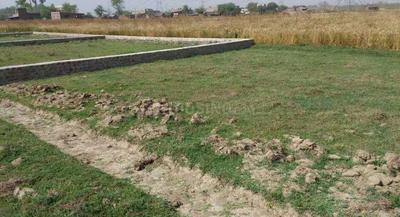 Gallery Cover Image of Sq.ft Residential Plot for buy in Sector 42 for 61244000