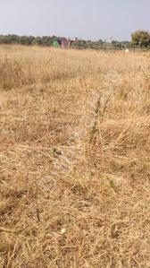 Gallery Cover Image of Sq.ft Residential Plot for buy in Mhow Gaon for 360000