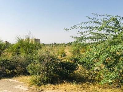 6615 Sq.ft Residential Plot for Sale in Tonk Phatak, Jaipur