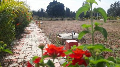 Gallery Cover Image of Sq.ft Residential Plot for buy in Jigani for 2155000