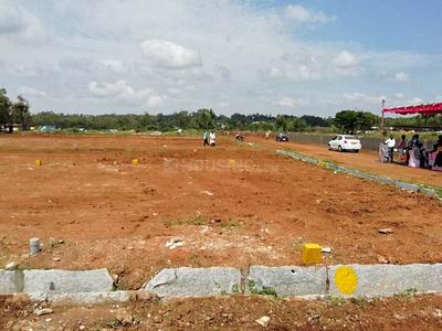 Residential Plot