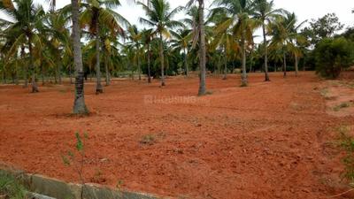 Gallery Cover Image of Sq.ft Residential Plot for buy in Navarathna Agrahara for 5195000
