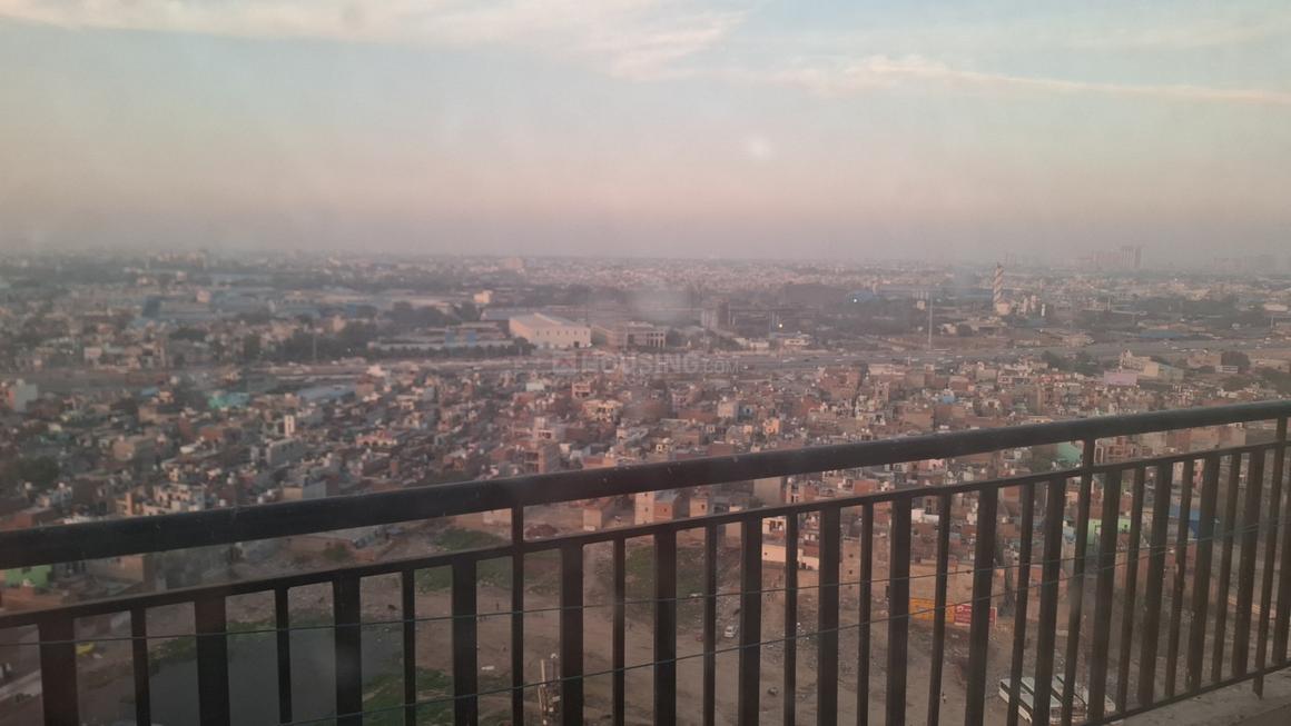 Saviour Greenisle - Image 8