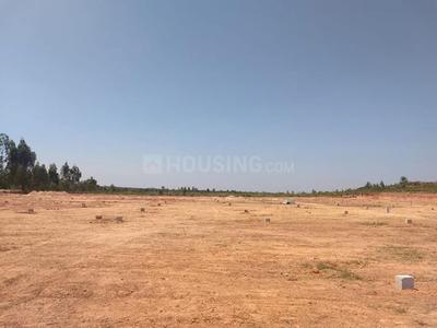 Residential Plot