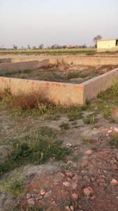 Residential Plot