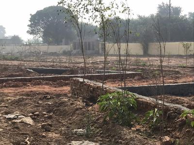 Gallery Cover Image of Sq.ft Residential Plot for buy in Yeida for 1700000