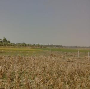 Gallery Cover Image of Sq.ft Residential Plot for buy in Baruipur for 300000