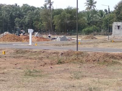 Residential Plot