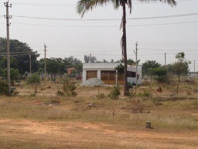 Residential Plot