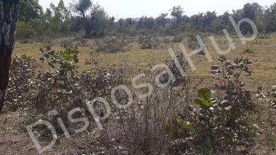 1000 Sq.ft Residential Plot for Sale in Khamaria, Jabalpur