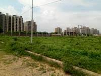 Gallery Cover Image of Sq.ft Residential Plot for buy in Sector 77 for 5600000