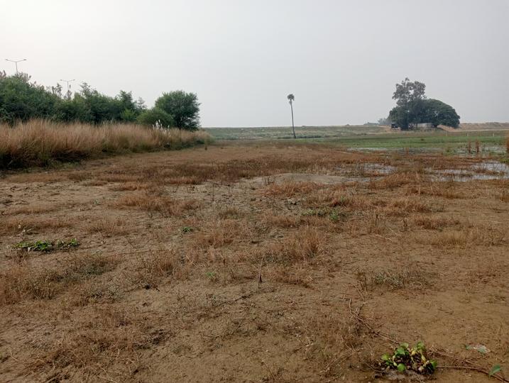 Residential 1500 Sqft Plot for sale at Bargadwa, Gorakhpur Property