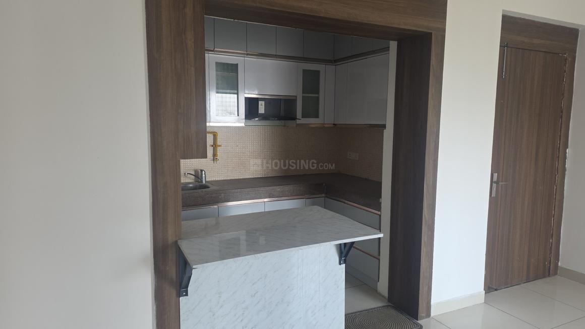 ABA Coco County - Image 9