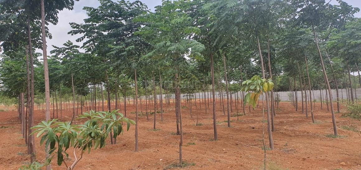 Agricultural LandAcre 22 lakhs for sale in Sangareddy, Sangareddy, Hyderabad
