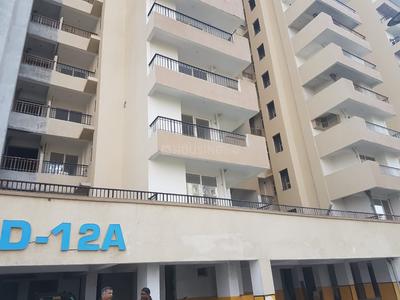 3 BHK Apartment