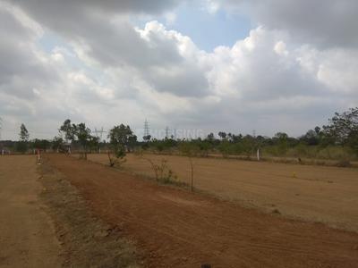 Residential Plot
