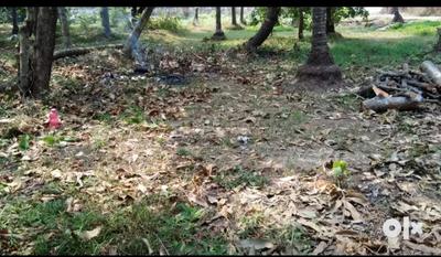 Gallery Cover Image of Sq.ft Residential Plot for buy in Nallalam for 7500000
