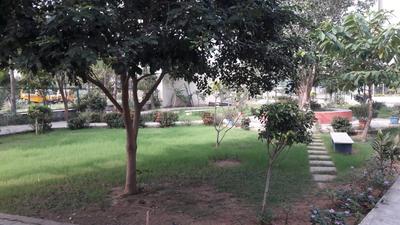 Residential Plot