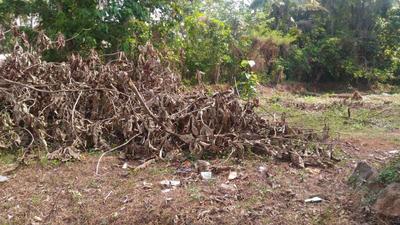 Gallery Cover Image of Sq.ft Residential Plot for buy in Pullazhi for 4500000