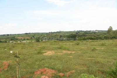Gallery Cover Image of Sq.ft Residential Plot for buy in Kammanahalli for 17640000