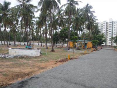 Residential Plot