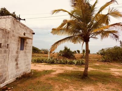 Gallery Cover Image of Sq.ft Residential Plot for buy in Thirunindravur for 350000