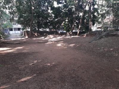 Gallery Cover Image of Sq.ft Residential Plot for buy in Ayyanthole for 1450000