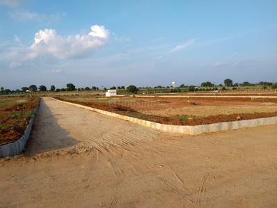 Residential Plot