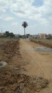 Residential Plot