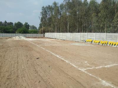 Residential Plot