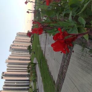 Gallery Cover Image of 1450 Sq.ft 3 BHK Apartment for buy in Sector 151 for 4150000