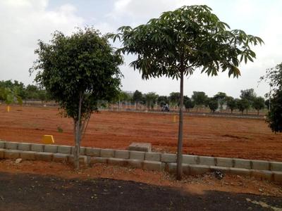 Residential Plot