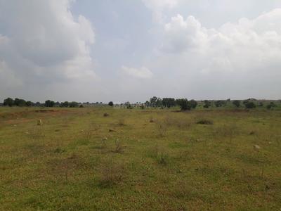 Residential Plot