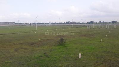 Residential Plot
