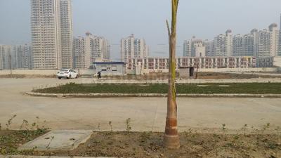 Residential Plot