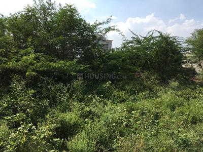 Residential Plot