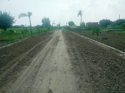 Gallery Cover Image of Sq.ft Residential Plot for buy in Shastri Nagar for 766000