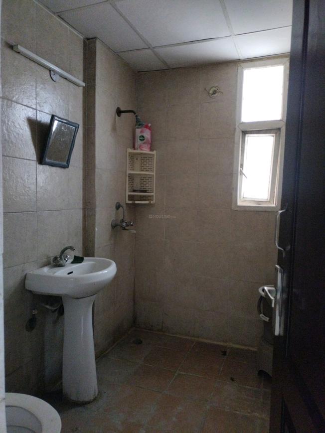 Saviour Greenisle - Image 15