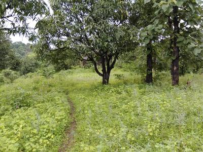 Residential Plot