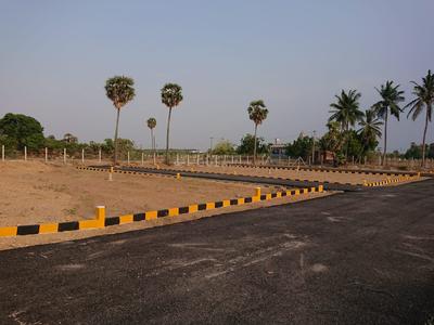 Residential Plot