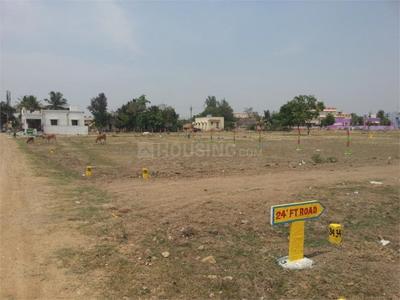 Residential Plot