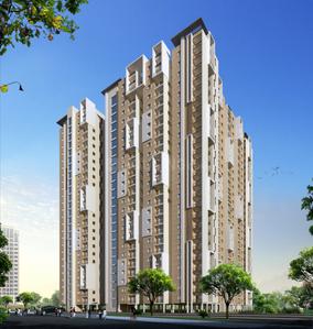 3 BHK Apartment