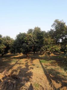 Gallery Cover Image of Sq.ft Residential Plot for buy in Abrama Village for 100000000