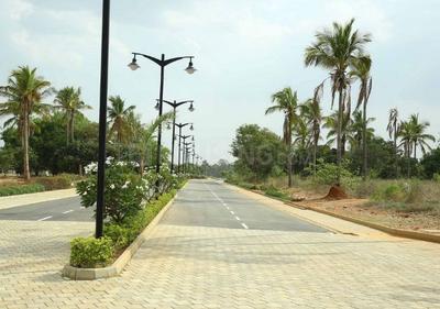 Residential Plot