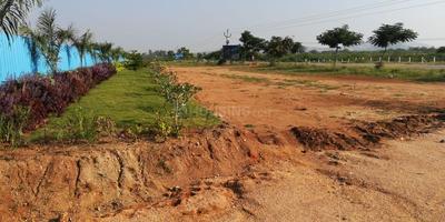 Residential Plot