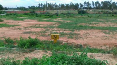 Residential Plot