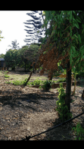Gallery Cover Image of Sq.ft Residential Plot for buy in Nalasopara West for 2280000