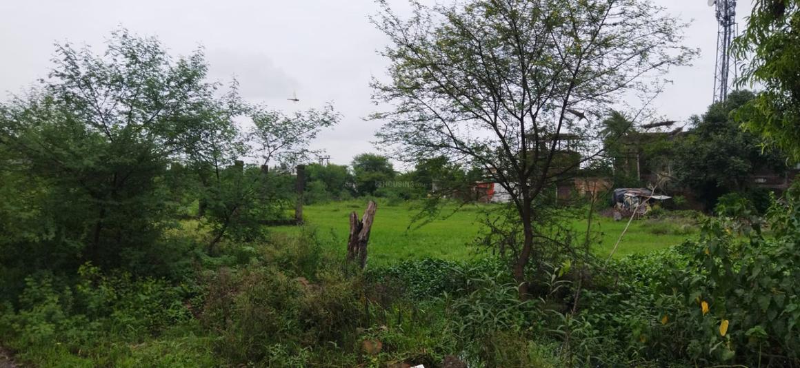 Loan Places in Forest MS Your Ultimate Guide to Finding Financial