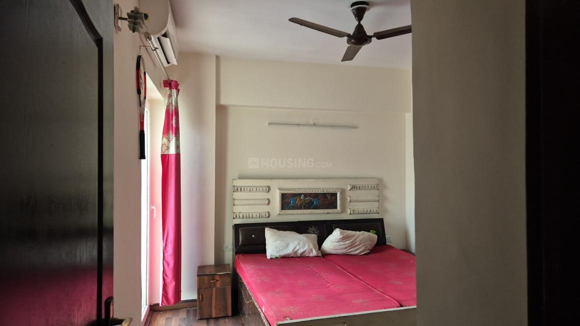 Sethi Max Royal - Image 9